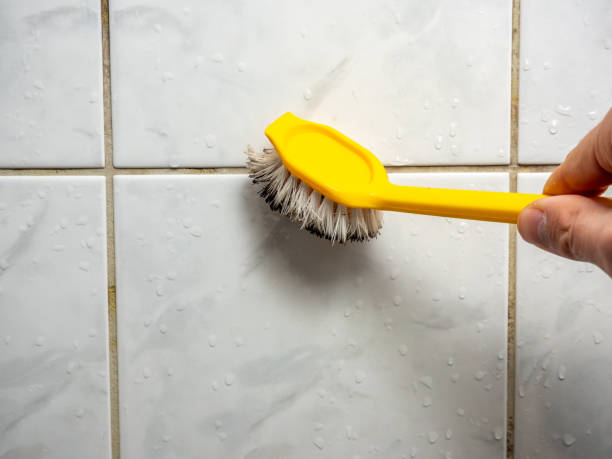 Best Certified Mold Removal  in Conyngham, PA