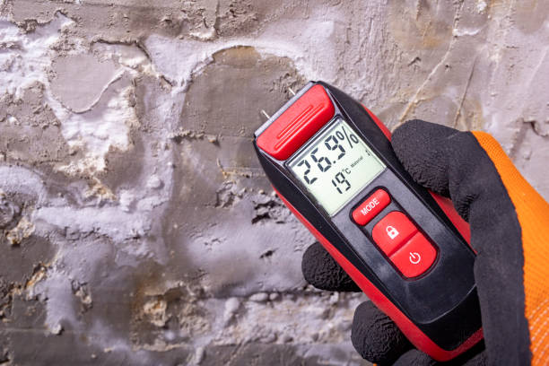 Office Mold Removal Services in Conyngham, PA
